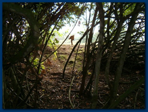 600x449 pixels (144K)